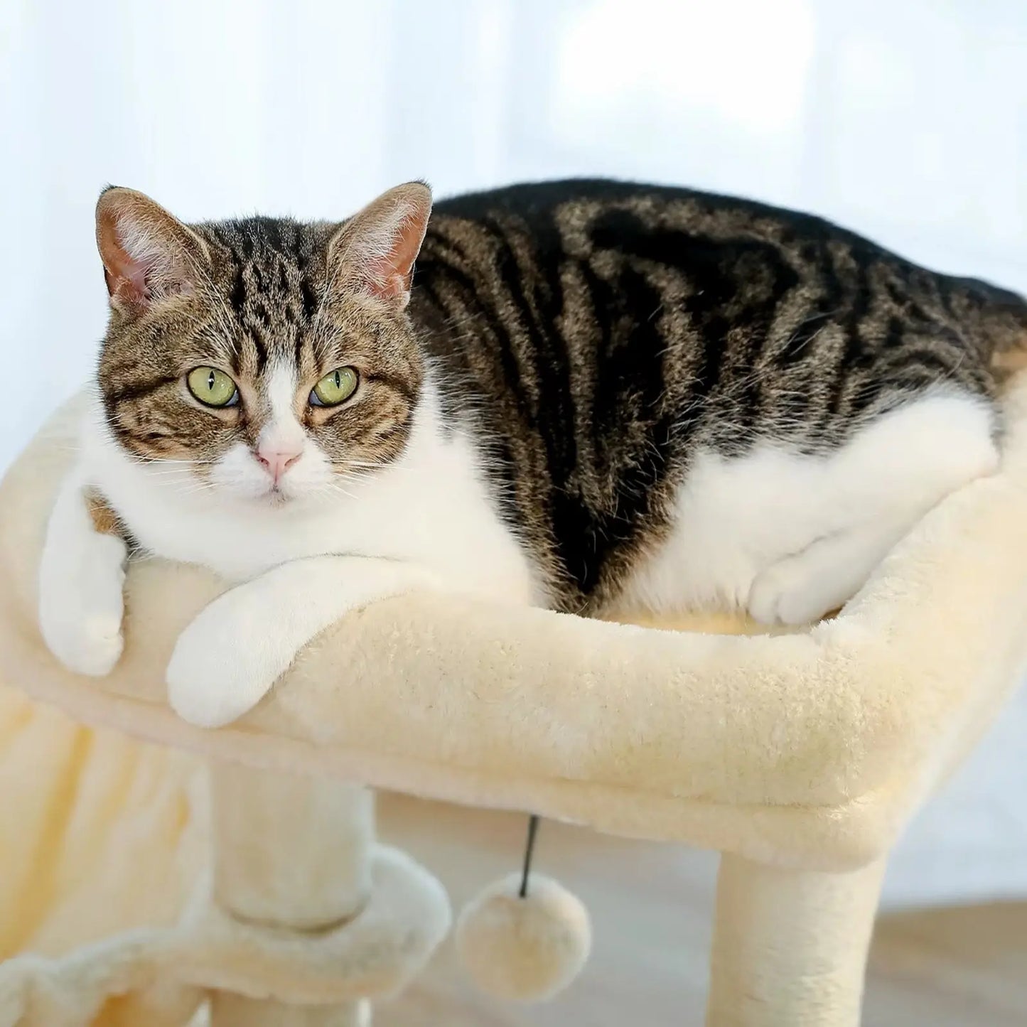 Arbre à Chat Beige avec Hamac - Le Nid Félin