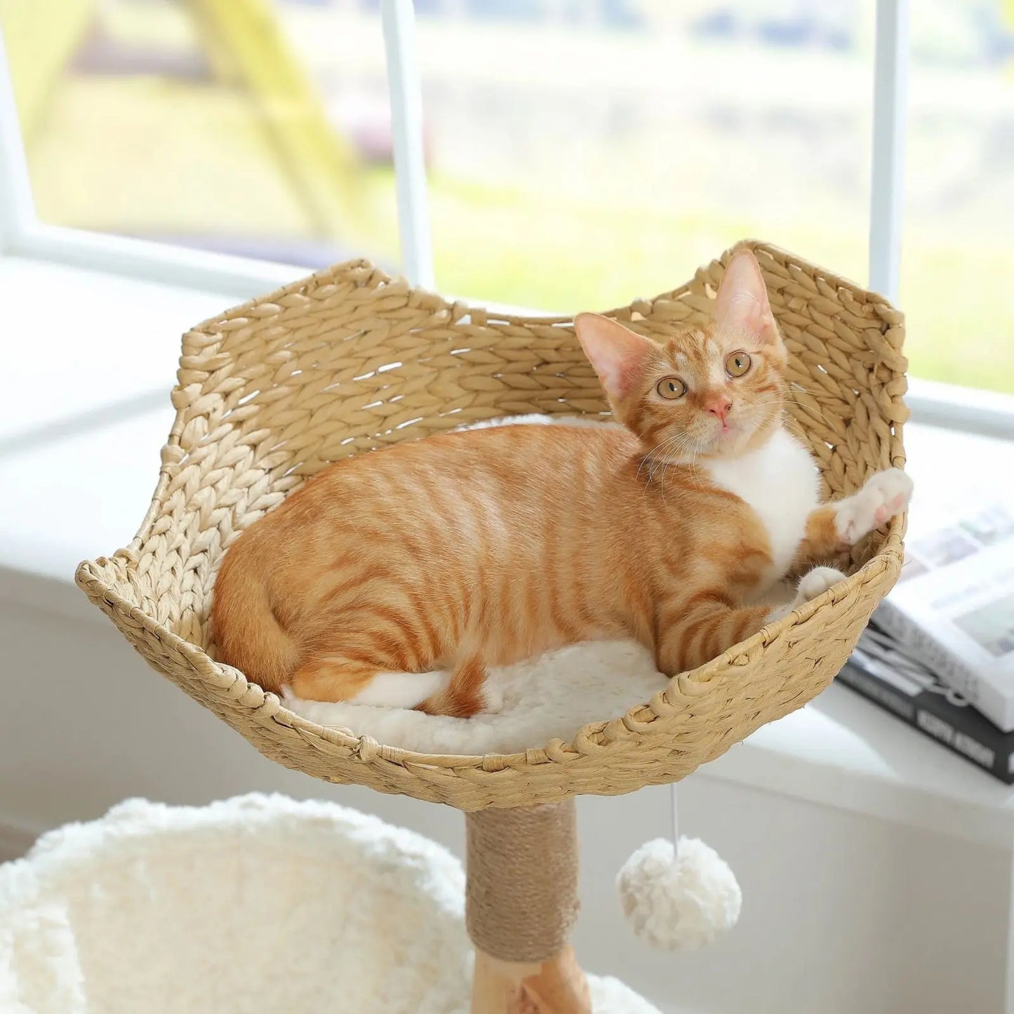 Arbre à Chat Bois Flotté Panier Osier - Le Nid Félin