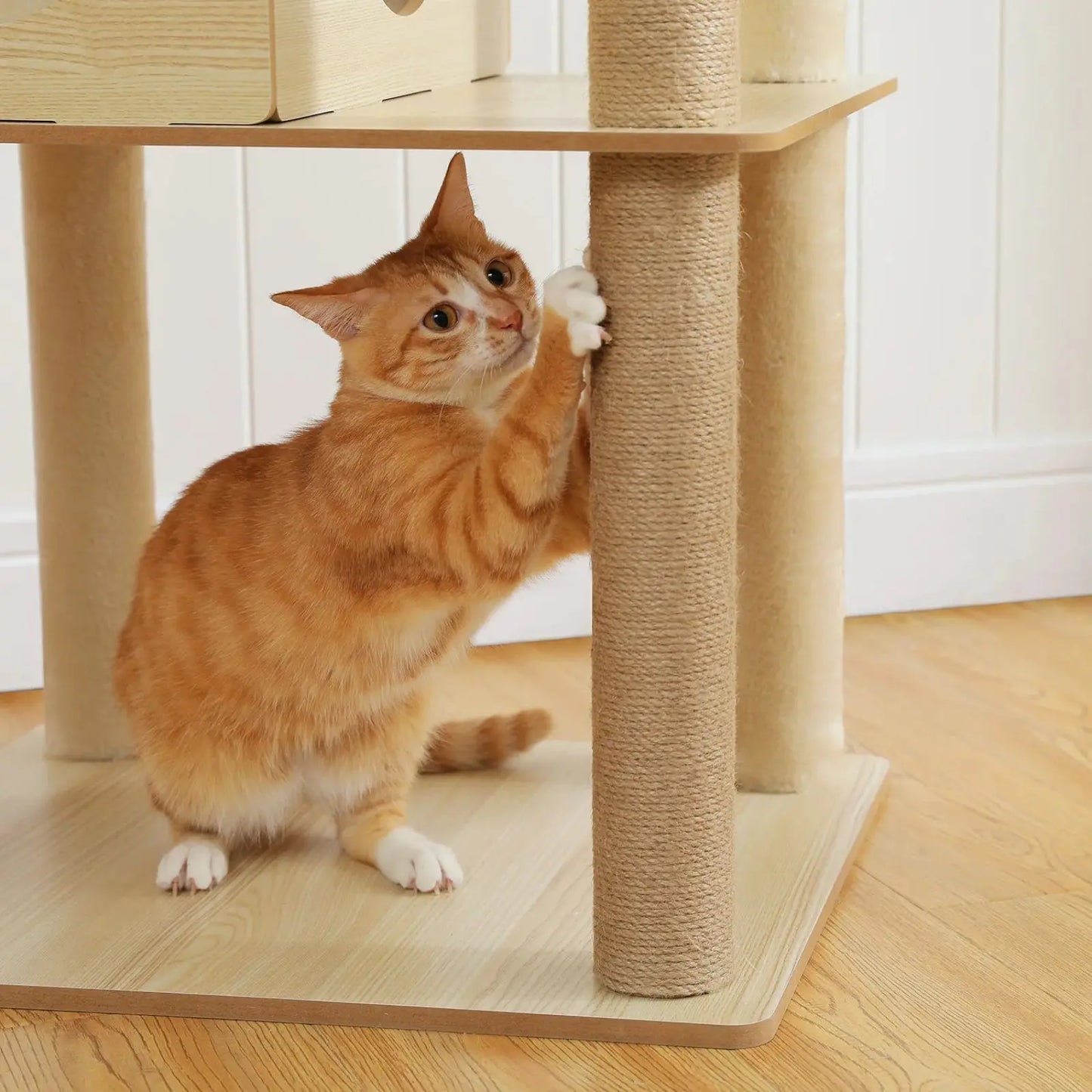 Arbre à chat en Bois avec Hamac Transparent - Le Nid Félin