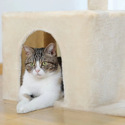 Arbre à Chat Maine Coon avec Condo Spacieux - Le Nid Félin