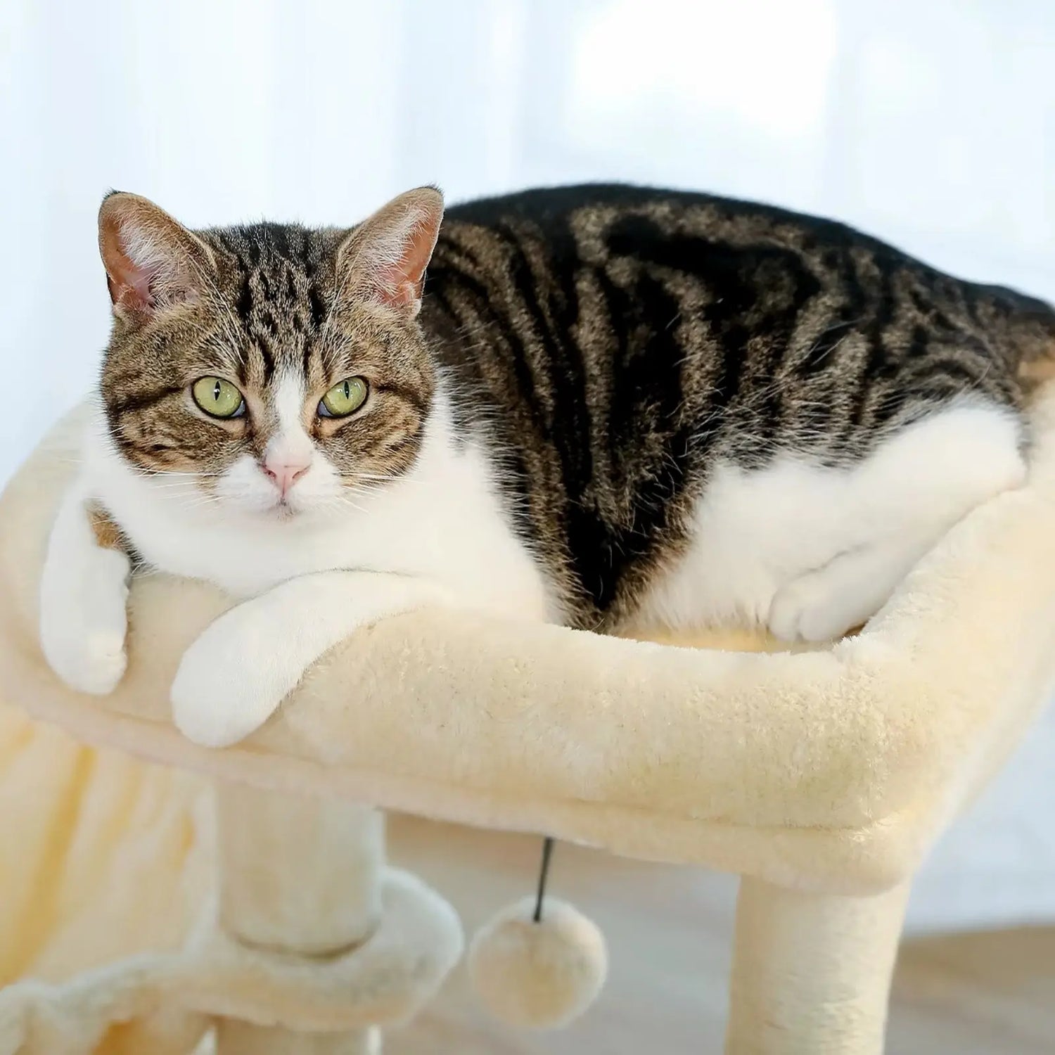 Arbre à Chat Beige Modulable avec Hamac - Le Nid Félin
