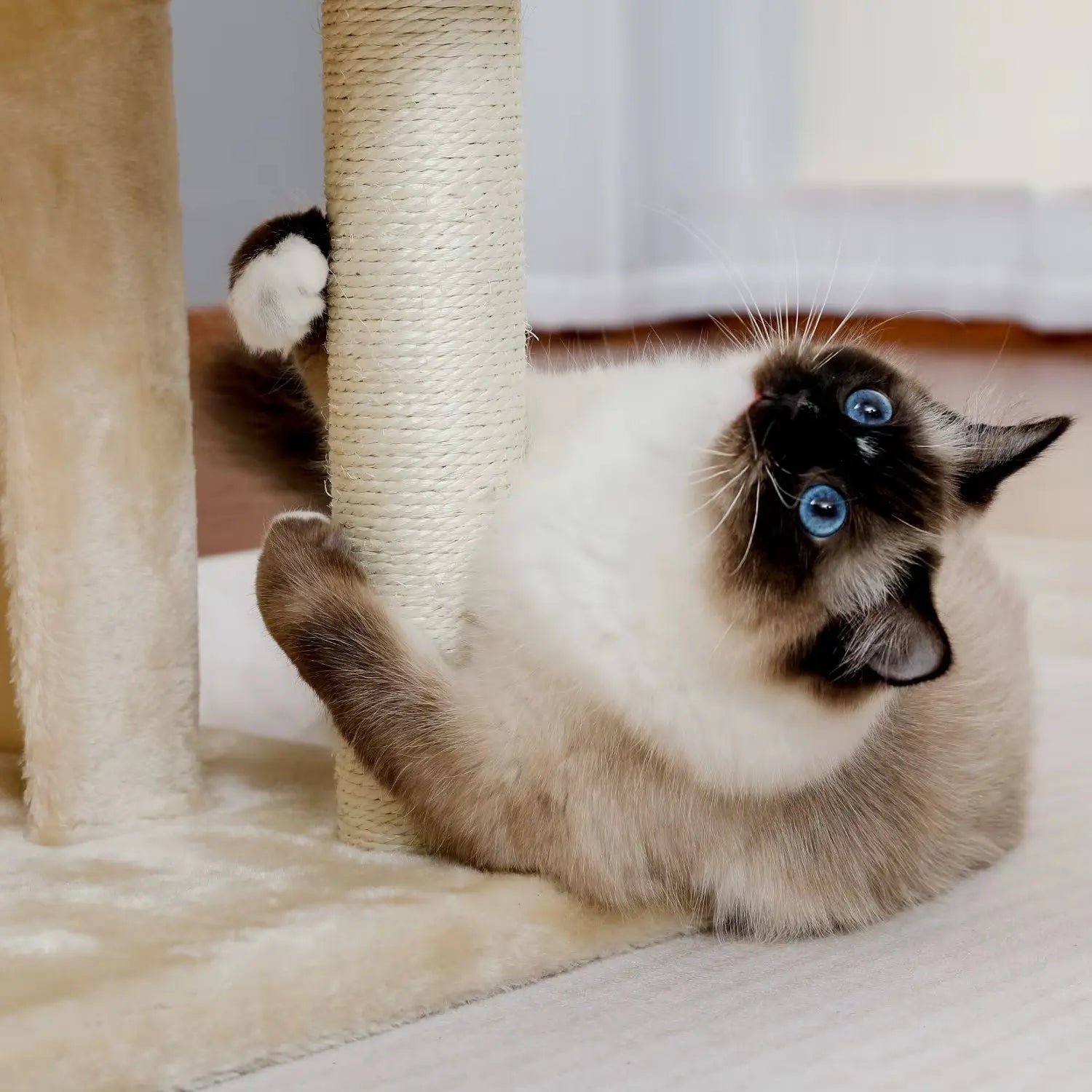 Petit Arbre à Chat Beige - Le Nid Félin