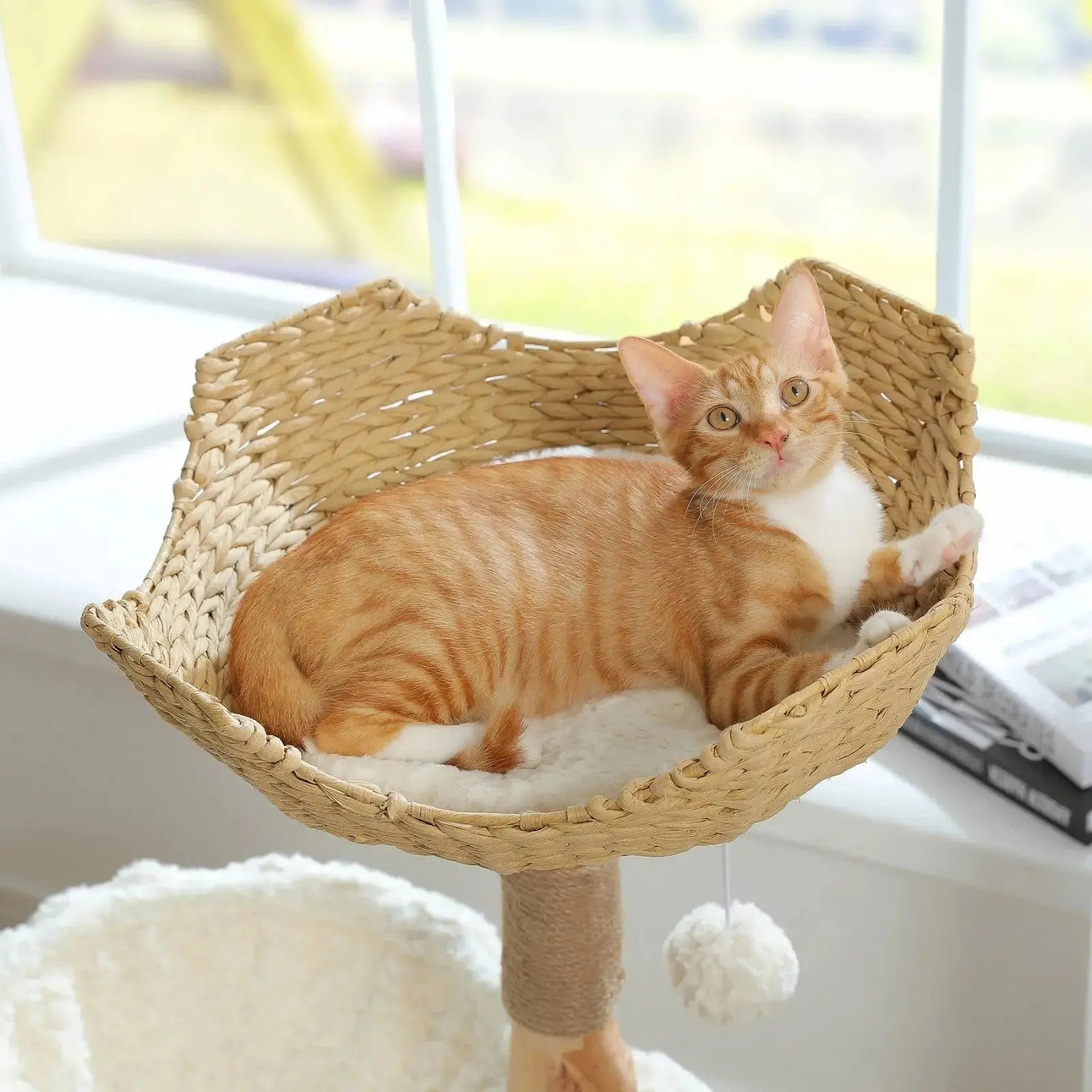 Arbre à Chat Nuage - Le Nid Félin