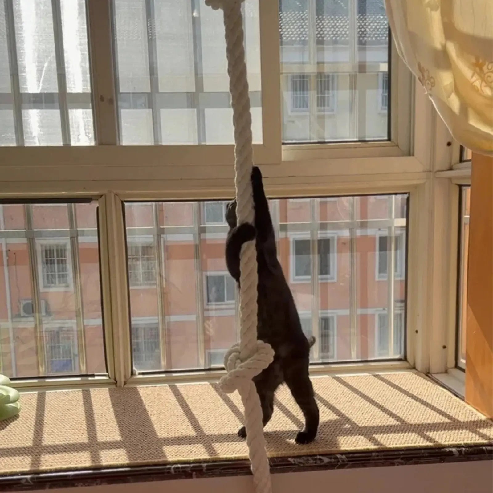 Corde pour chat Suspendu au Plafond - Le Nid Félin