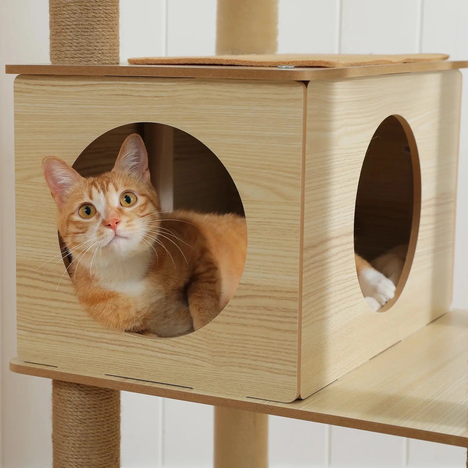 Arbre à chat XXL en Bois - Le Nid Félin