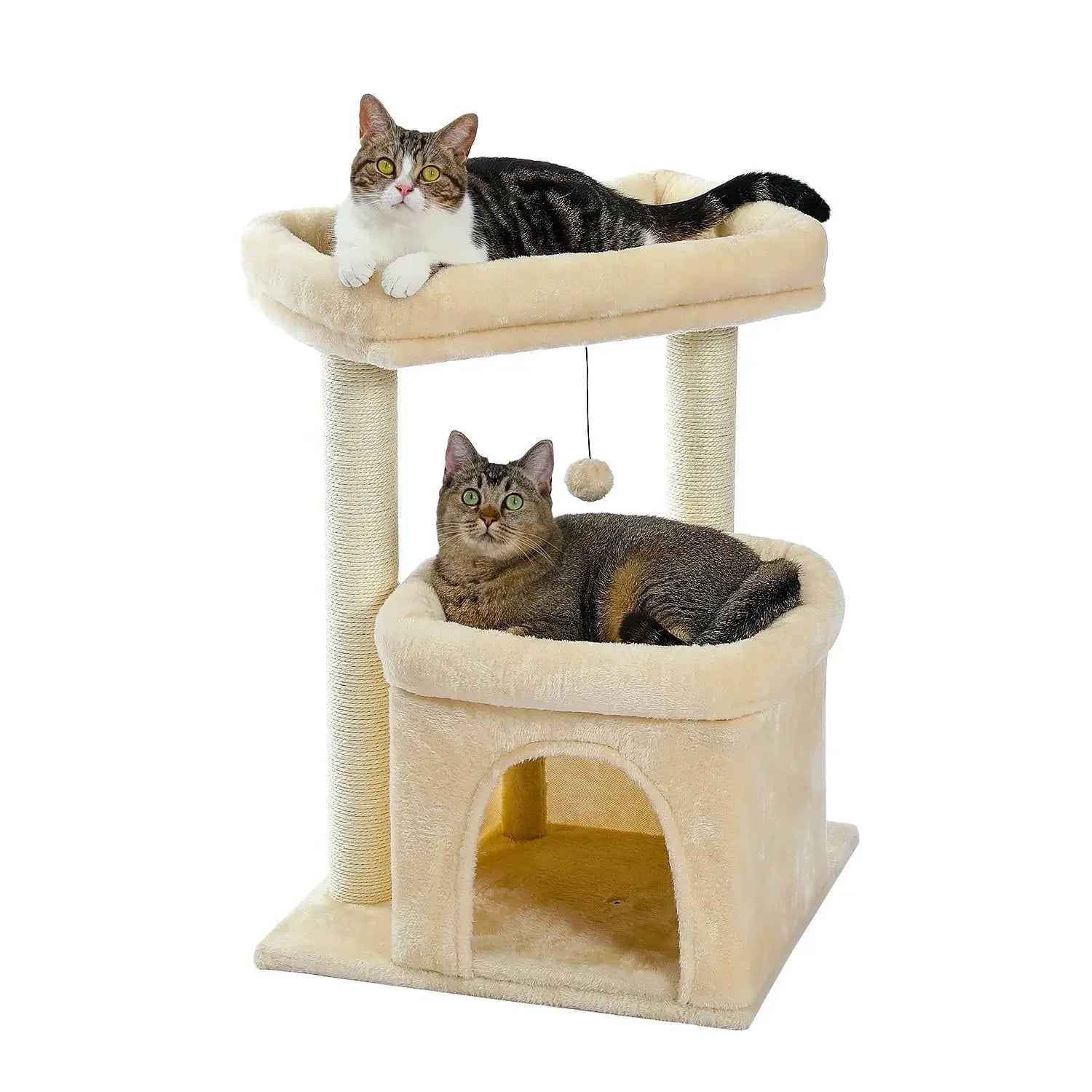 Arbre à Chat Maine Coon Plateforme Large Beige 68cm - Le Nid Félin