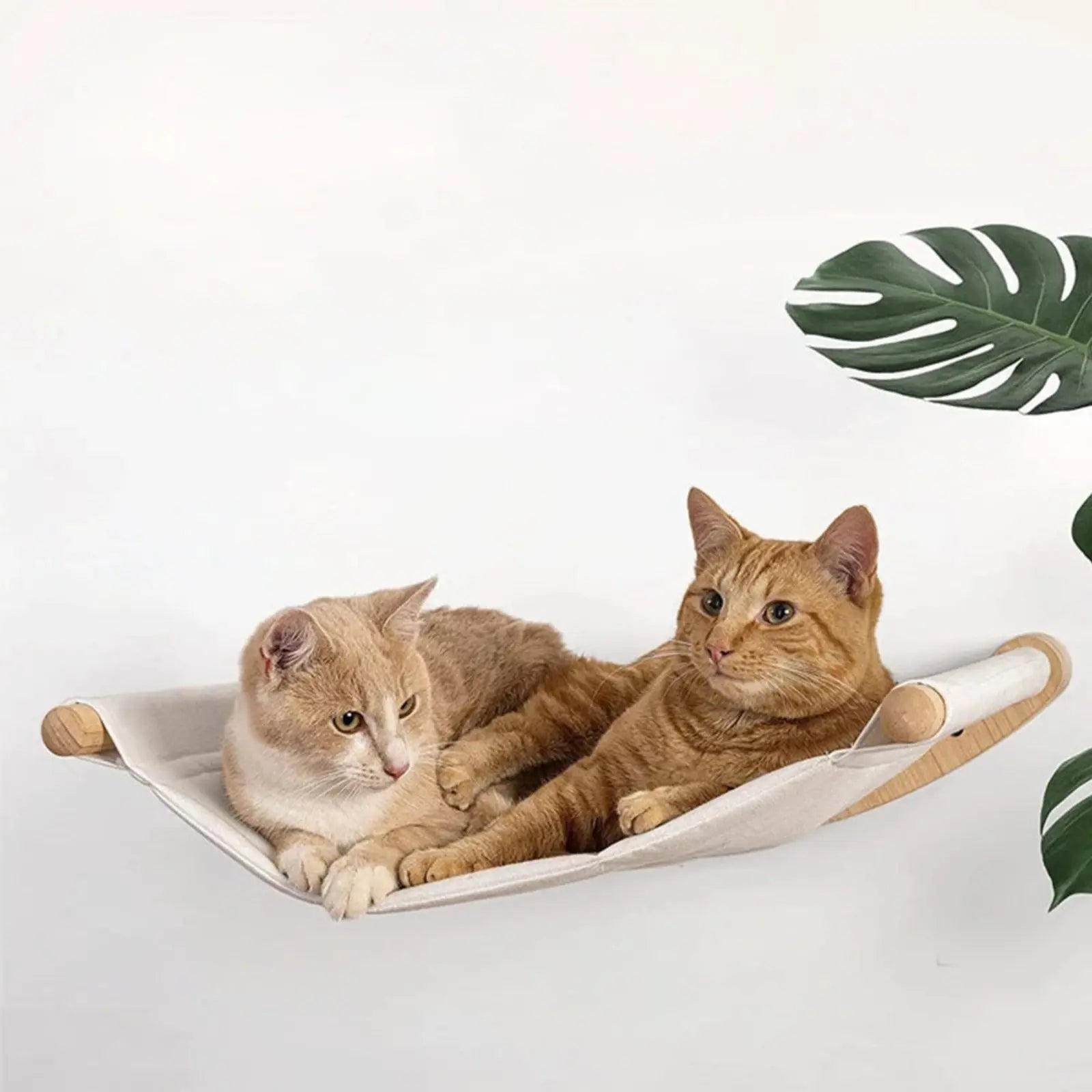 Hamac Pour Chat Suspendu - Le Nid Félin