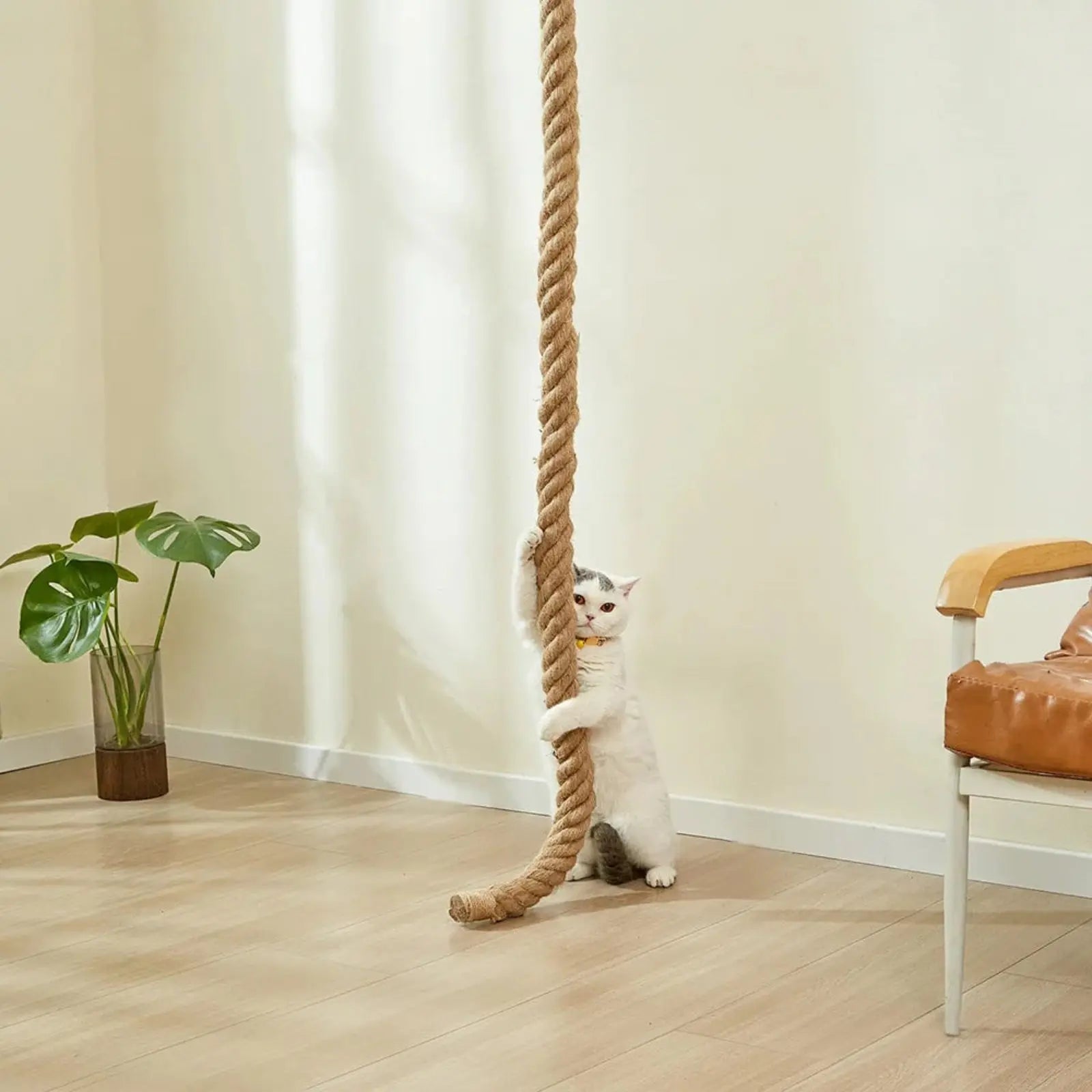 Corde pour chat 3 m Vertical - Le Nid Félin