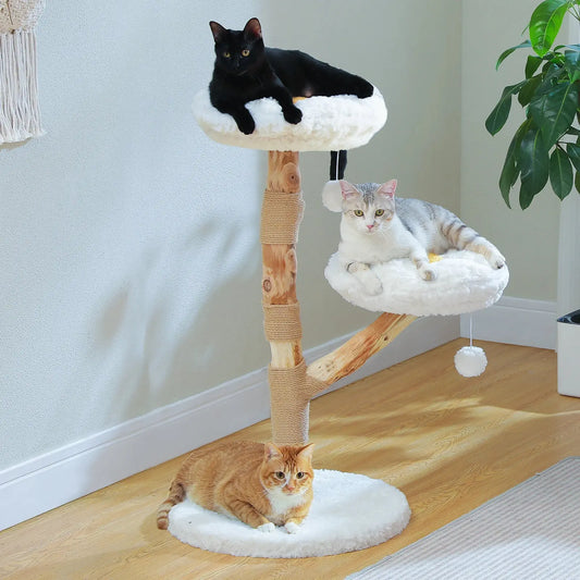 Arbre à Chat Bois Flotté Nuage - Le Nid Félin