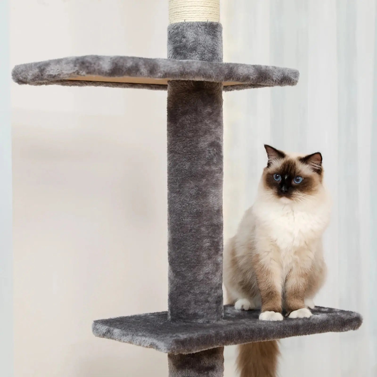 Arbre à Chat Gris Ajustable avec Griffoirs et Plateformes - Le Nid Félin