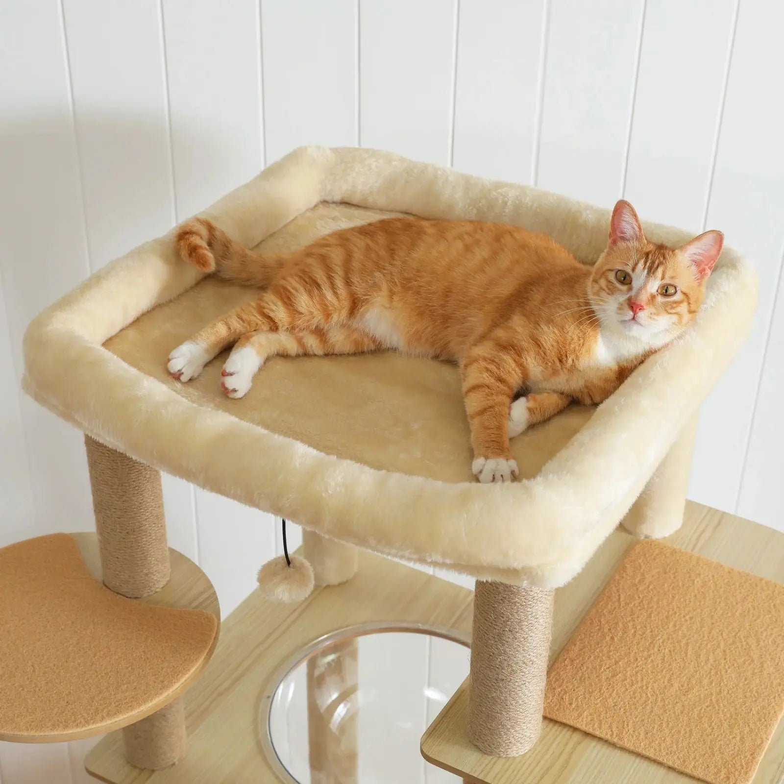 Arbre à chat en Bois avec Hamac Transparent - Le Nid Félin