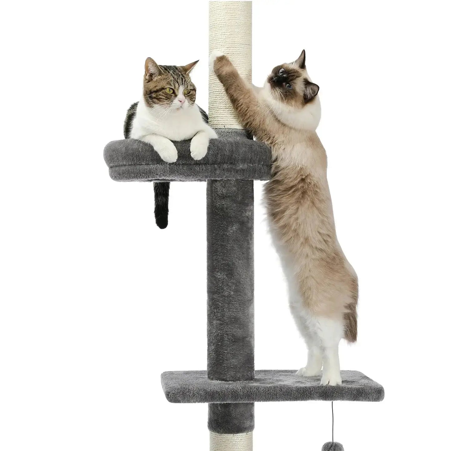 Arbre à Chat Gris Plafond 243 cm - Le Nid Félin