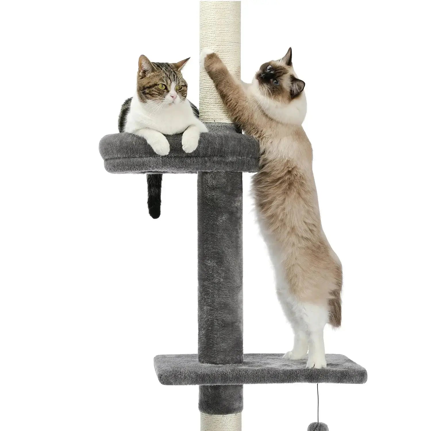 Arbre à Chat Gris Plafond 243 cm - Le Nid Félin