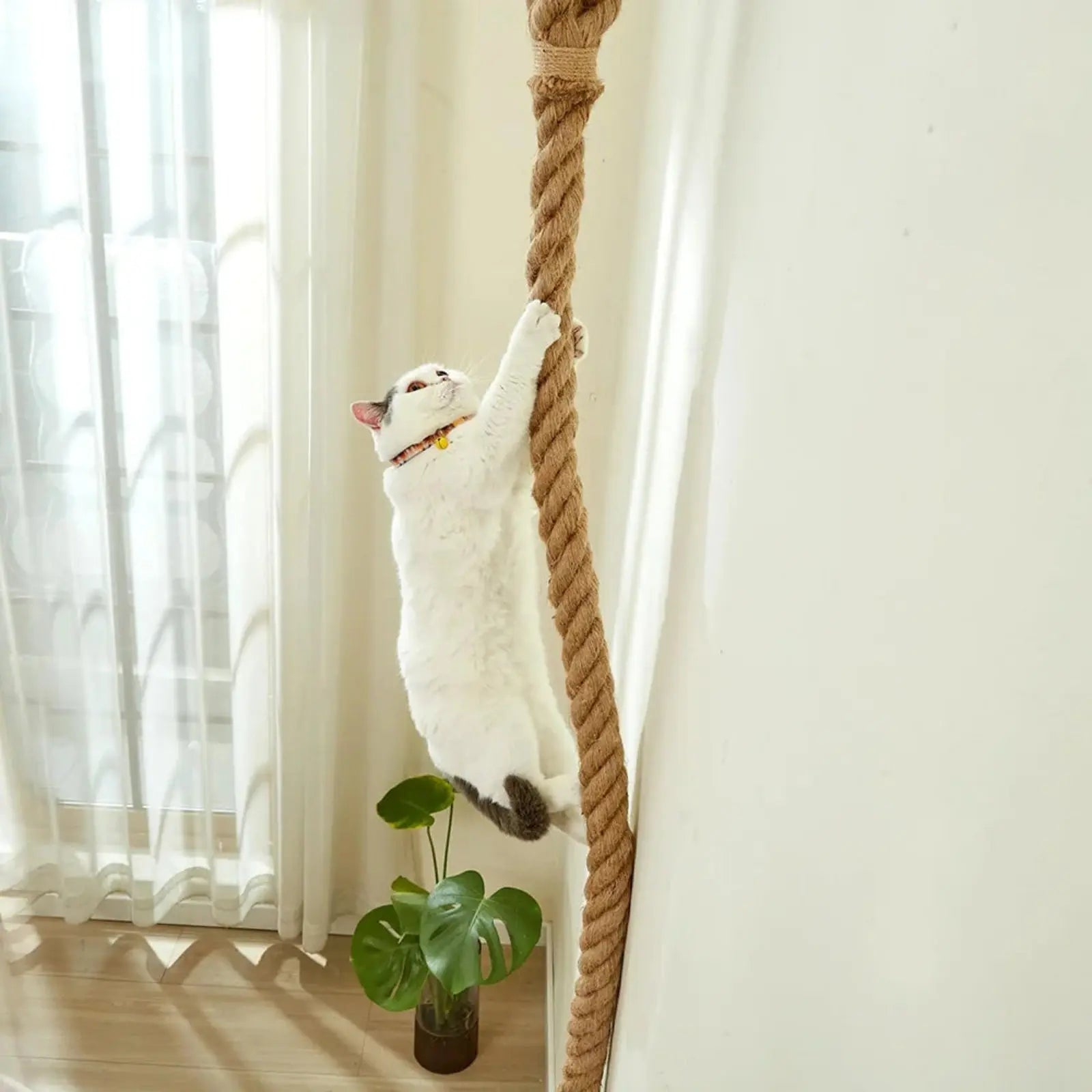 Corde pour chat 3 m Vertical - Le Nid Félin