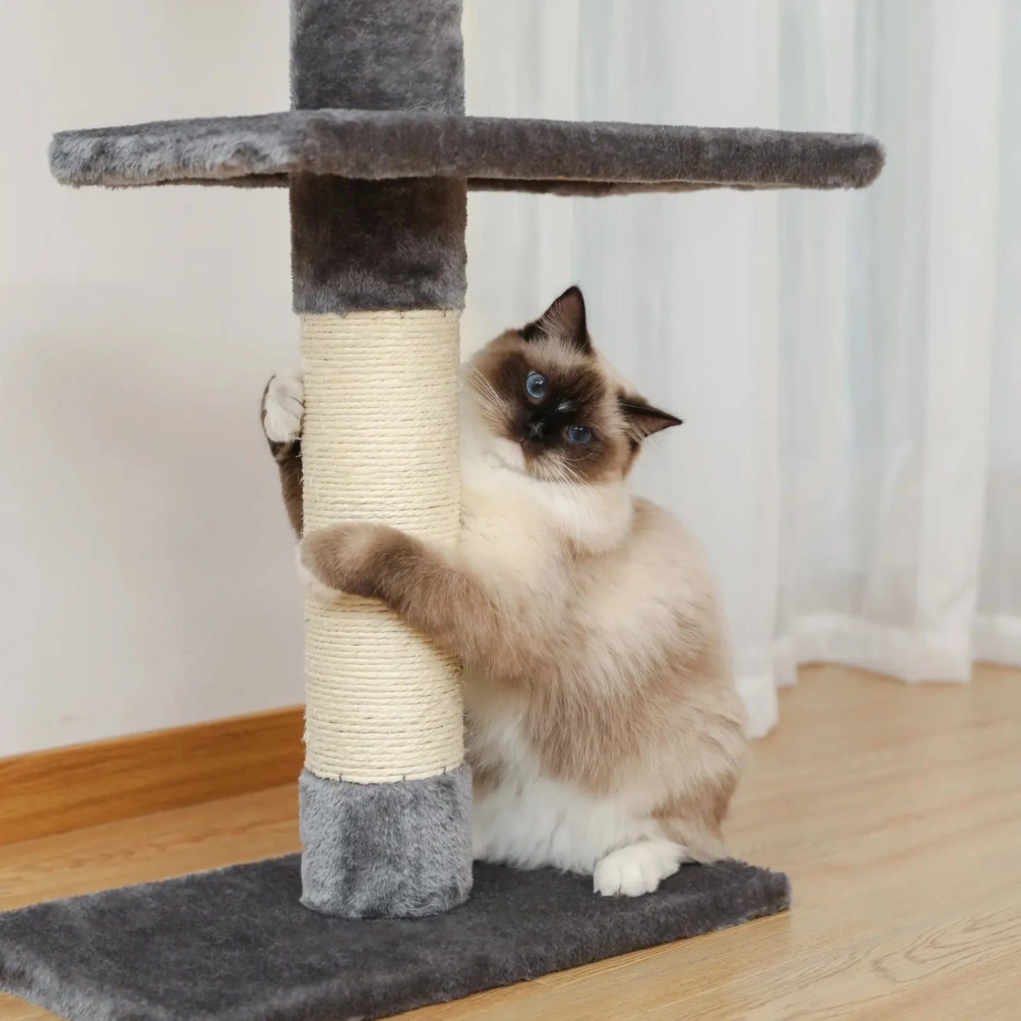 Arbre à Chat Gris Ajustable avec Griffoirs et Plateformes - Le Nid Félin