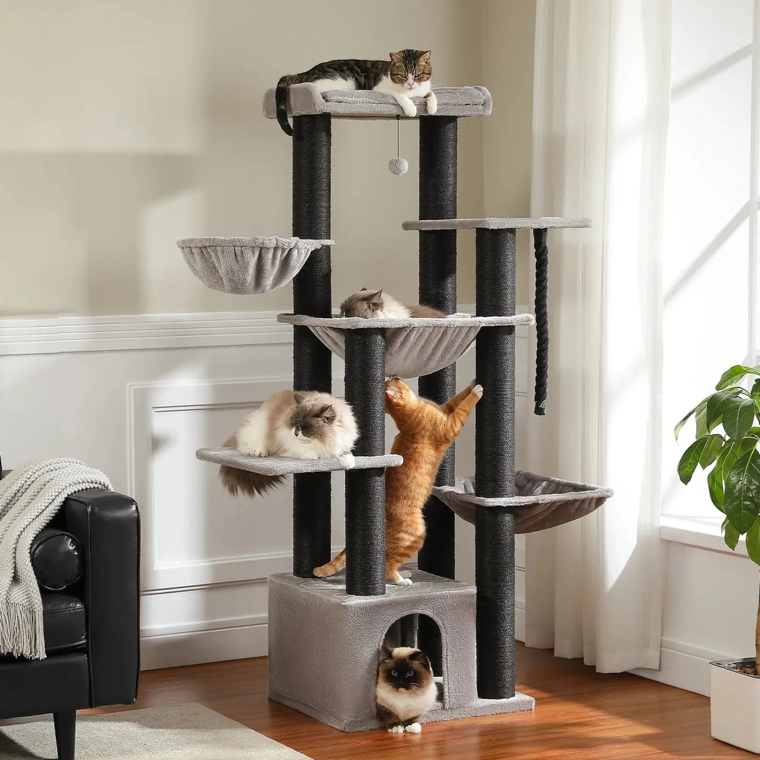 Arbre à Chat Maine coon Stable et Solide - Le Nid Félin