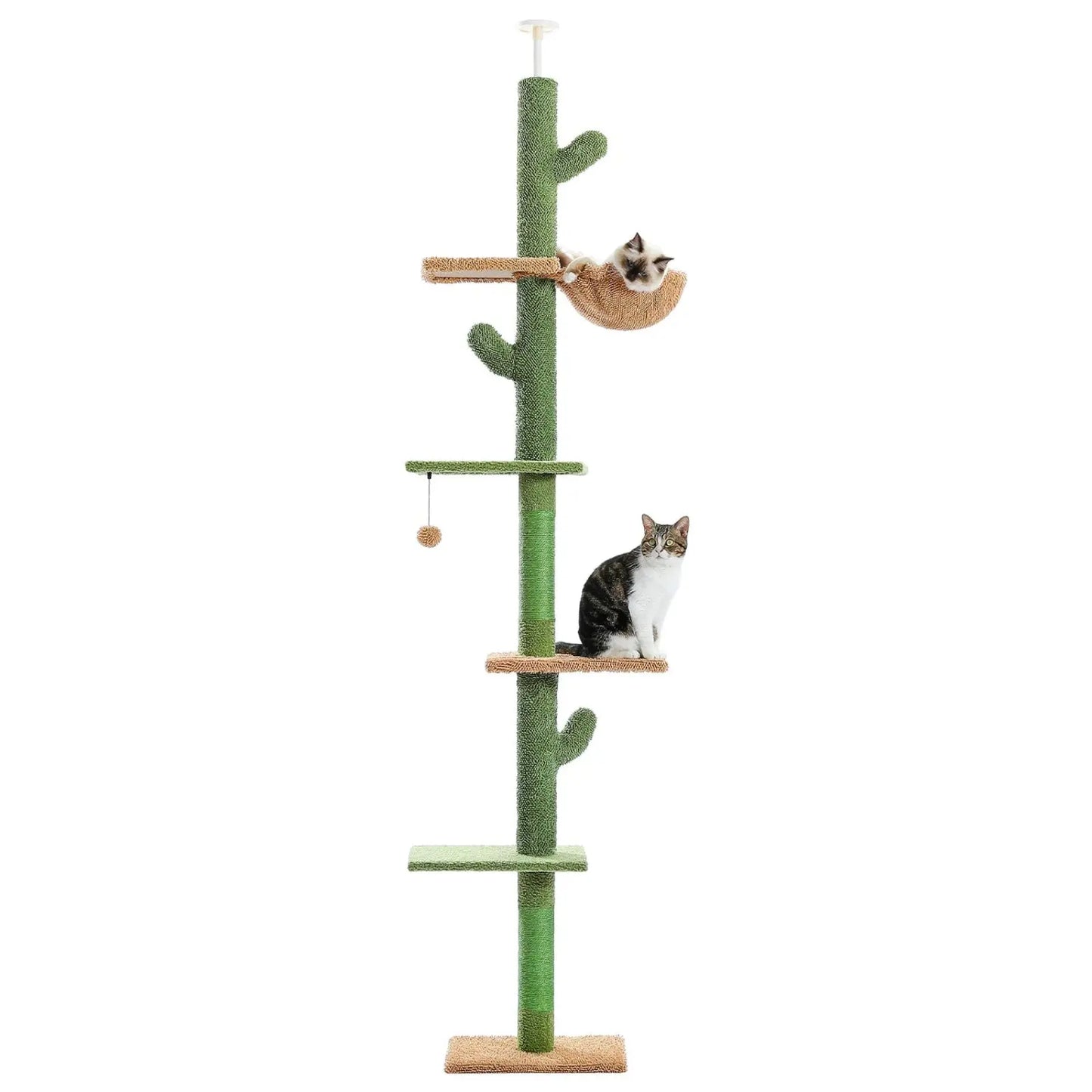 Arbre à Chat Cactus Ajustable Plafond - Le Nid Félin