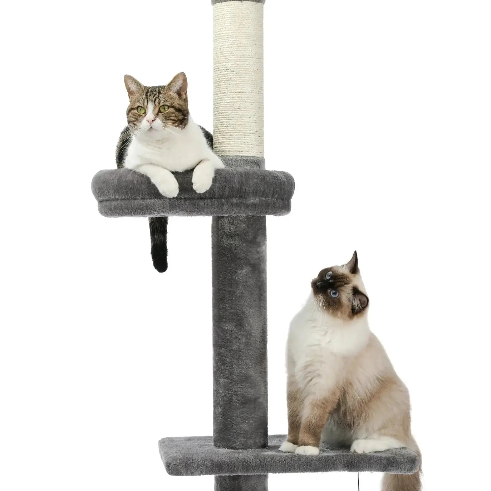 Arbre à Chat Gris Plafond 243 cm - Le Nid Félin