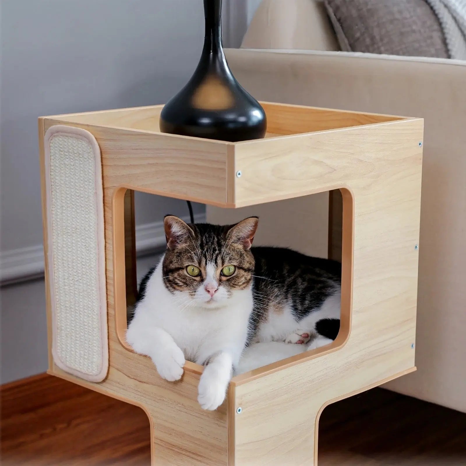 Chat à l'intérieur niche arbre à chat bois design
