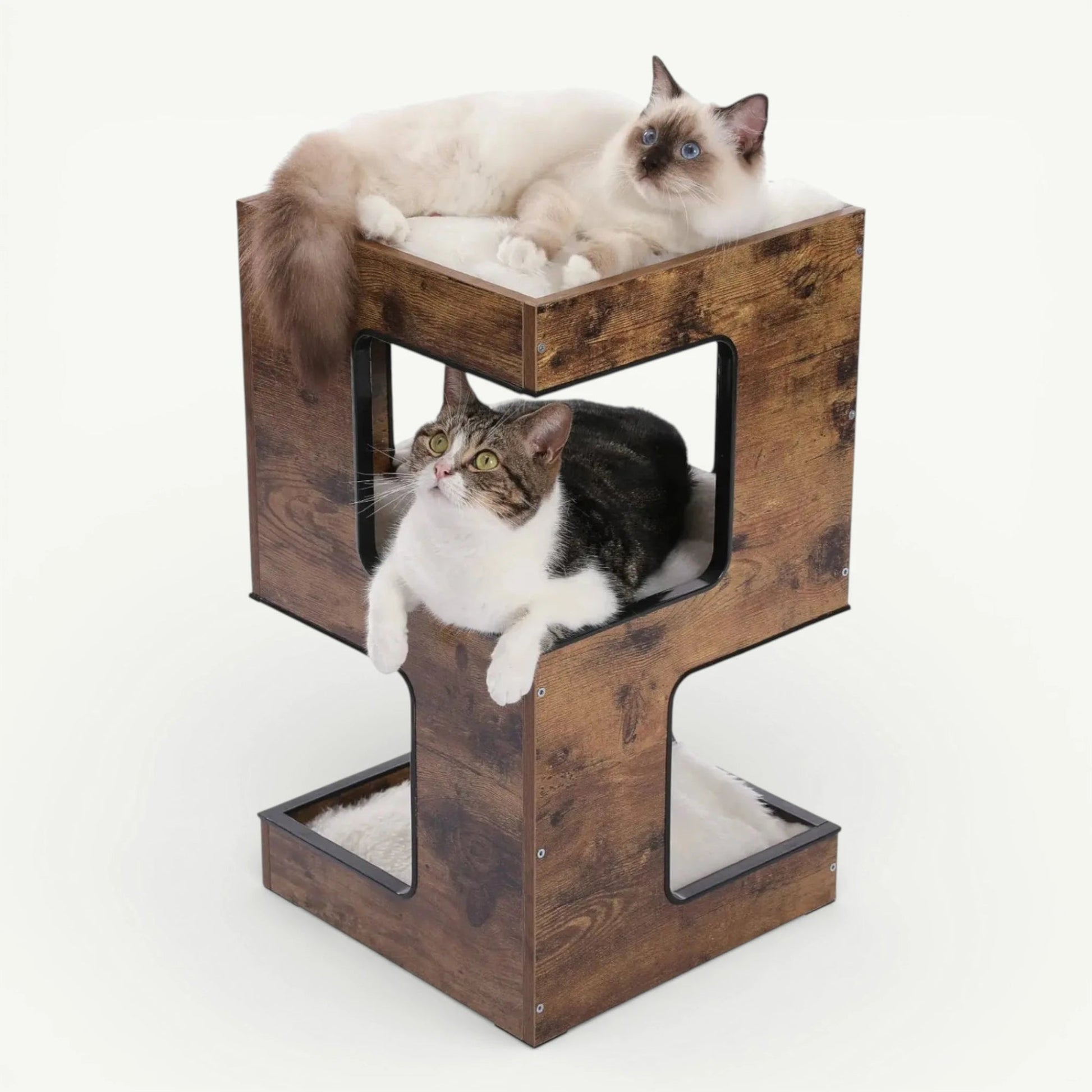Arbre à Chat en Bois Design - Table de Chevet Fonctionnelle | Griffoir Intégré Ma boutique