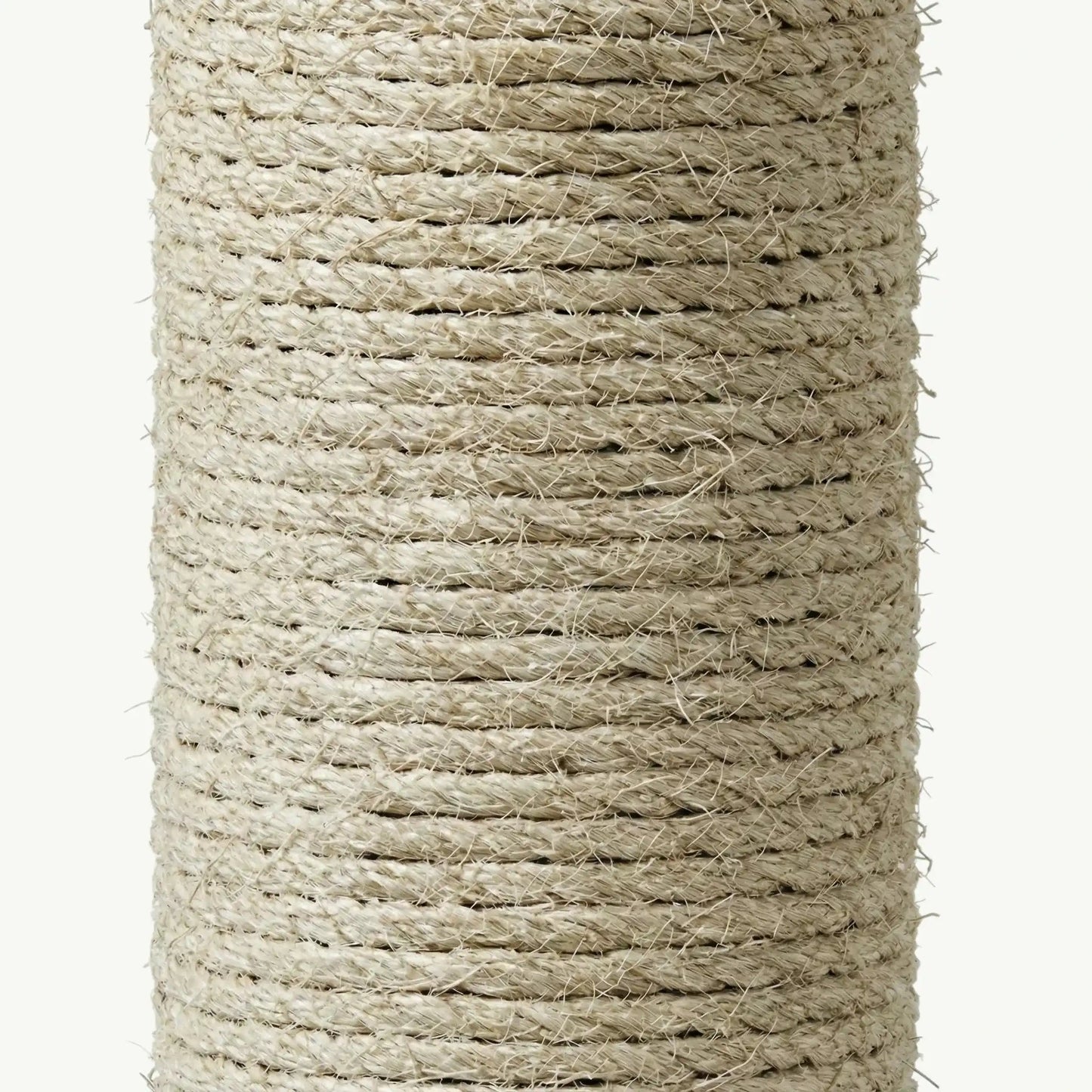 Gros plan poteau sisal naturel meuble litière arbre chat